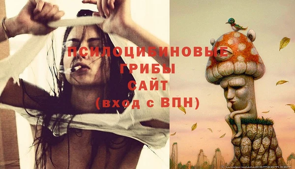 МДПВ Алексеевка