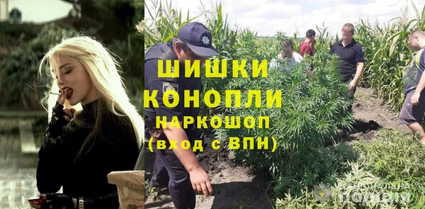 прущий лед Абаза